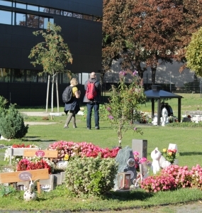 Tierfriedhof-Wien_Ueberblick5